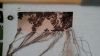 20151227_130826.thumb.jpg.497f2c7289e224