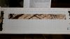 20151228_005309.jpg