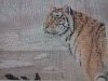 20151230_193727.thumb.jpg.d058693328cf67