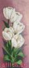 24129.thumb.jpg.a5843c396b8d3330dfb5c76f