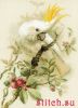 25124.thumb.jpg.c733cd1f9a1d36b7567f871c