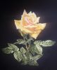 3.thumb.jpg.eb24400d23b11014743d43278184