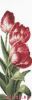 32972.thumb.jpg.40cab778c0de5b023fc6d187