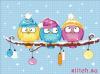 33288.thumb.jpg.d44c1e3ac16baf6a2cc1e45e