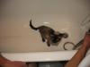 565df85a3681c_001.thumb.jpg.84e47cbb4880