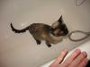 565df876bf4d8_002.thumb.jpg.8c8d8a237e15
