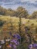 566ddb15bafee_20151213_2256491.thumb.jpg
