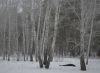 56718ec1d2ef1__DSC1365.thumb.jpg.51e9196