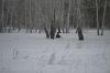56718eca8e602__DSC1366.thumb.jpg.ea1b409