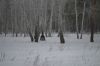 56718ed4bf51f__DSC1368.thumb.jpg.9150bdc
