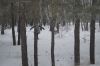 56718ef0b418f__DSC1373.thumb.jpg.0454586