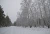 56718efcdd8b8__DSC1361.thumb.jpg.b14e288
