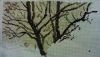 5672a6d784265__06.thumb.jpg.2bdbfe03b389