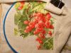 DSCN8095 (800x600).jpg
