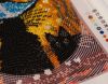56805b6d5d1e8_Batterfly-6017-2.thumb.JPG