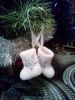 5682624085efd_.thumb.jpg.1072e1c9a4d4b1f