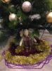 5682b0c7d3b38_IMG_1820(1).thumb.JPG.ed30