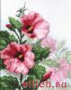 7344.thumb.jpg.537f3f21690110be85f3b75a5