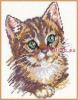 740.thumb.jpg.e5cb13f30e04054e2559730e1b