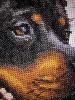 9.thumb.jpg.948b576d3c2f8a85da2eaa672b4b