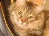 DSC00384.thumb.JPG.31cd3f44f6d124b70ea56