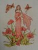 DSC00426.jpg