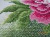 DSC02150.thumb.JPG.d18d729aebe340ea1e7fa