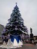 DSC02203.thumb.JPG.bfad6e3dd5d27d0233570