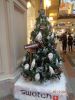 DSC02246.thumb.JPG.22eb5ea94e09944db72e5
