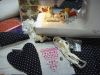 DSC04400.thumb.JPG.2bc5fd5aefa0604f4ca89