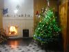 DSC04480.thumb.JPG.1786eb732b681738d611d
