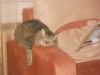 DSCN0177.thumb.JPG.6354c6278cae4610c0f5a