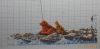 DSCN4651.jpg