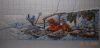 DSCN4659.thumb.jpg.1ff233ec93356703f0684