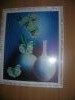 DSCN5079.thumb.JPG.ec117559d7fad5a5cbdfd