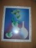 DSCN5080.thumb.JPG.5731ce7d03b4ce9daf6b2