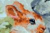 DSC_0007.thumb.JPG.610b289ff667f741913eb