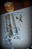 DSC_0100-.thumb.jpg.c3121f7f4c08f60d2240