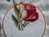 DSC_0520.thumb.jpg.fbbf313a80e7d17c0ff5a
