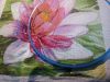 DSC_0521.thumb.jpg.fa17bf037cb330813bf31