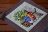 DSC_1155.thumb.JPG.9e9ac93fe9659f4d7c4c6