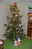 DSC_1542.thumb.JPG.d76d1a394a0d5274fac4d