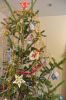 DSC_1543.thumb.JPG.b89ac34aaf7da1a40be3a