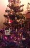 IMAG1301.thumb.jpg.8bb9b6eba733e63b2a256