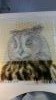 IMAG1809.thumb.jpg.62dfae0aad96ed7e3ba69
