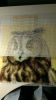 IMAG1811.thumb.jpg.700b29e23f710c974c8cd