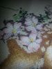 IMG-1445782823254-V.thumb.jpg.f02d1d7aae