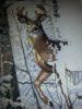 IMG-1450467539545-V.thumb.jpg.0f224fabc0