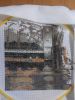IMG-20151206-WA0002.thumb.jpg.c0812c9b92