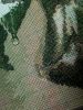 IMG_0809.thumb.JPG.dfa192a9e7e370900bf24